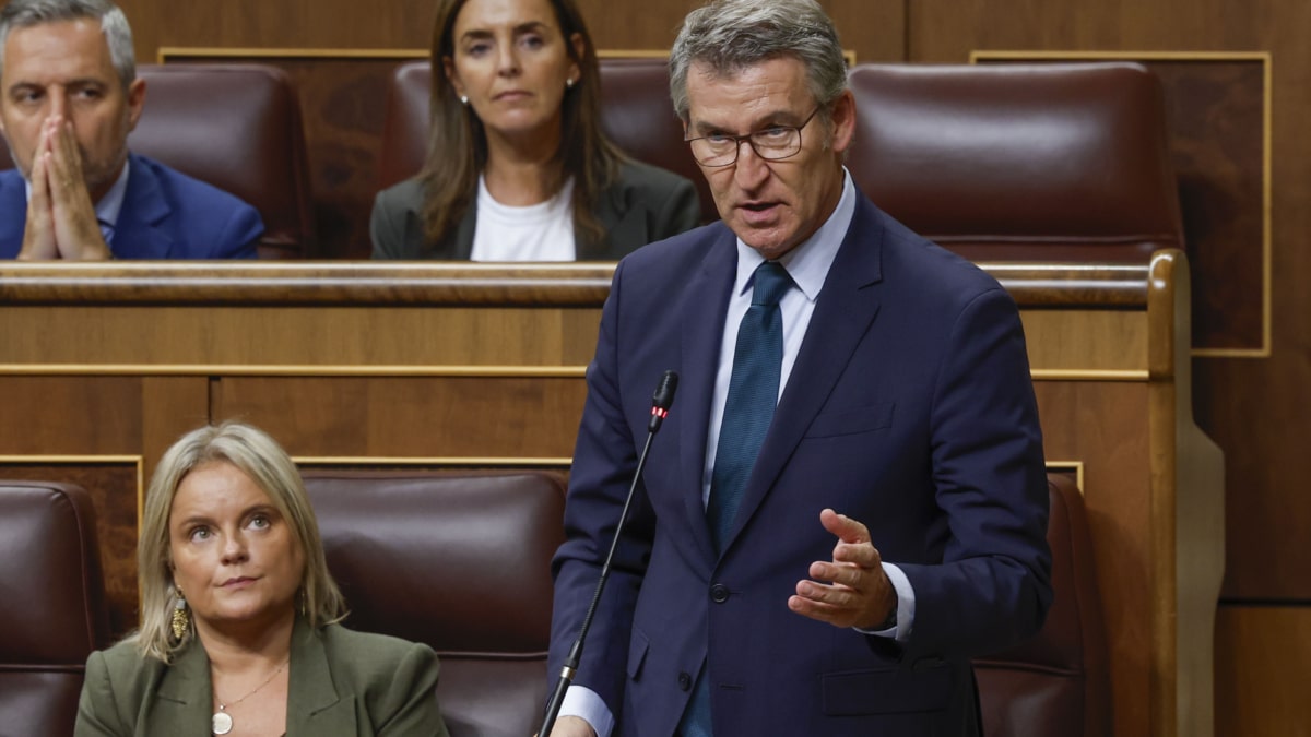 El presidente del PP, Alberto Núñez Feijóo interviene tras la comparecencia del jefe del Ejecutivo, Pedro Sánchez