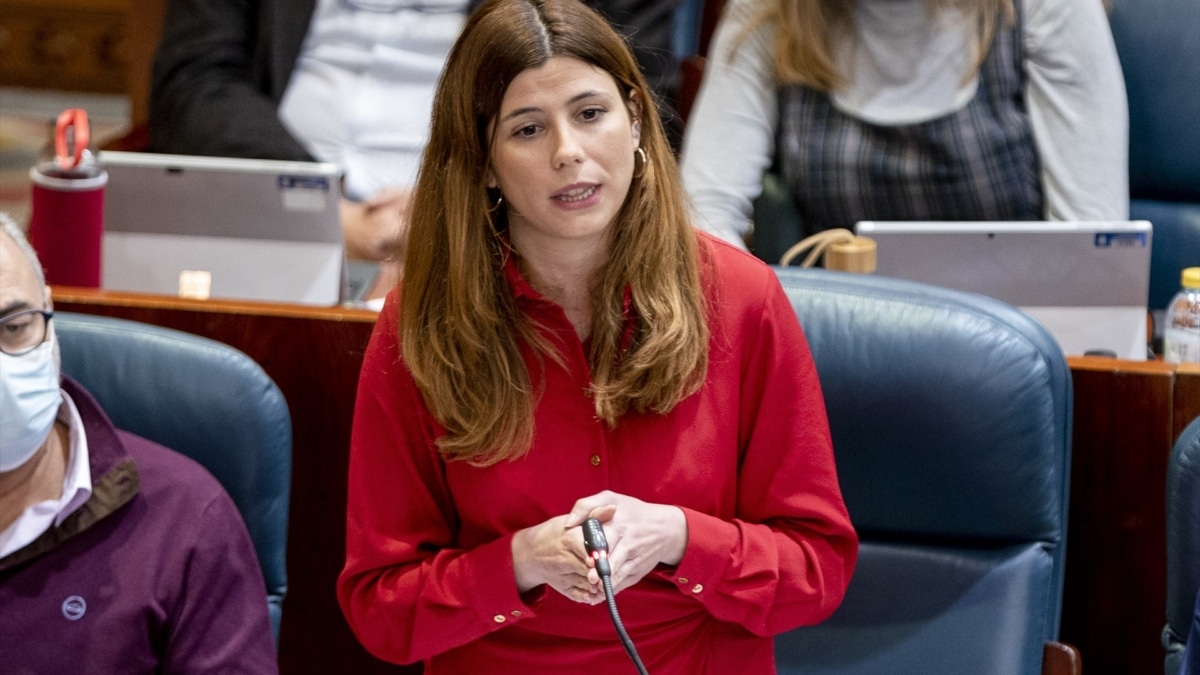 La diputada de Más Madrid en la Asamblea de Madrid, Loreto Arenillas, en un pleno