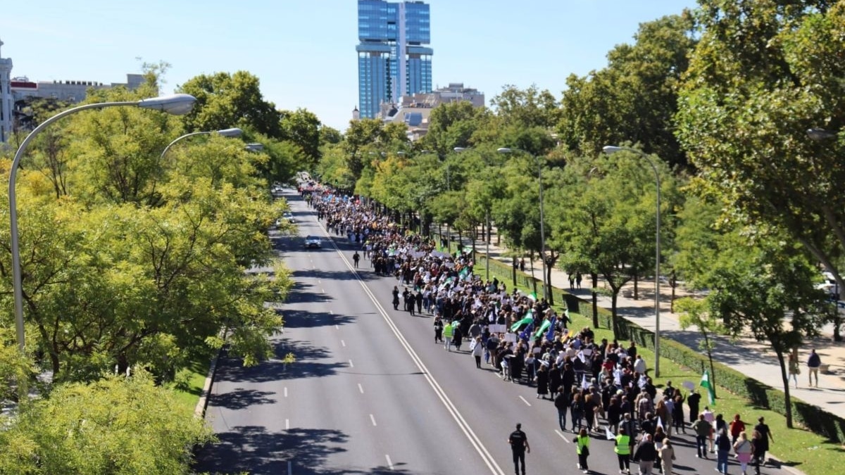 La convocatoria de la manifestación para pedir una “pasarela” al RETA no logra reunir a la mayoría de profesionales que cotizan en mutualidades