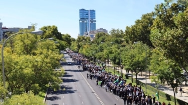 La convocatoria de la manifestación para pedir una "pasarela" al RETA no logra reunir la mayoría de profesionales