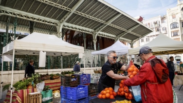 La naranja española, entre la esperanza por la sequía en Brasil y el temor a Egipto