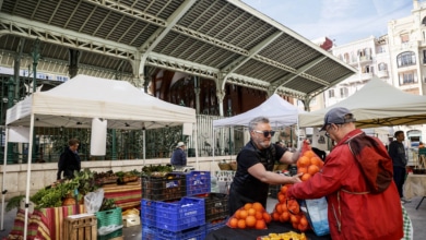 La naranja española, entre la esperanza por la sequía en Brasil y el temor a Egipto