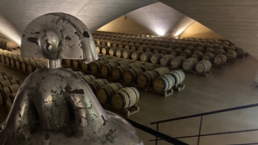 Otazu, el señorío navarro del siglo XII que convierte el arte en vino y su bodega en museo