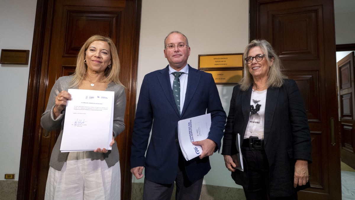 El portavoz parlamentario del PP, Miguel Tellado, y la responsable de Políticas Sociales, Ana Alós (i), registran la PL de Conciliación en el Congreso