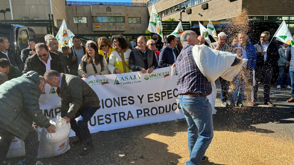 Los agricultores de Castilla y León protestan a las puertas de la Delegación del Gobierno, en Valladolid