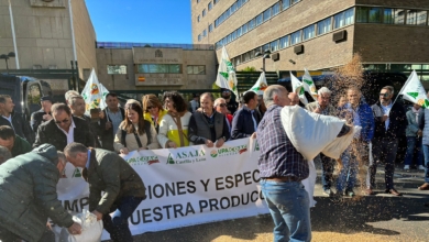 Los agricultores fijan en 280 euros "el precio digno" para la tonelada de cereal