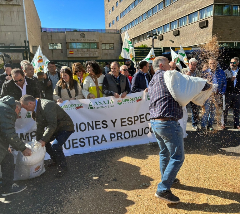 Los agricultores fijan en 280 euros "el precio digno" para la tonelada de cereal