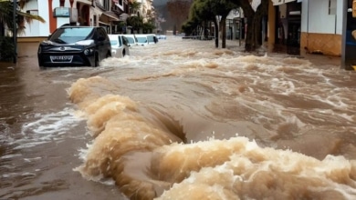 Así logró la Policía Nacional mantener a flote a una mujer que estaba siendo arrastrada por la DANA en Benetúser