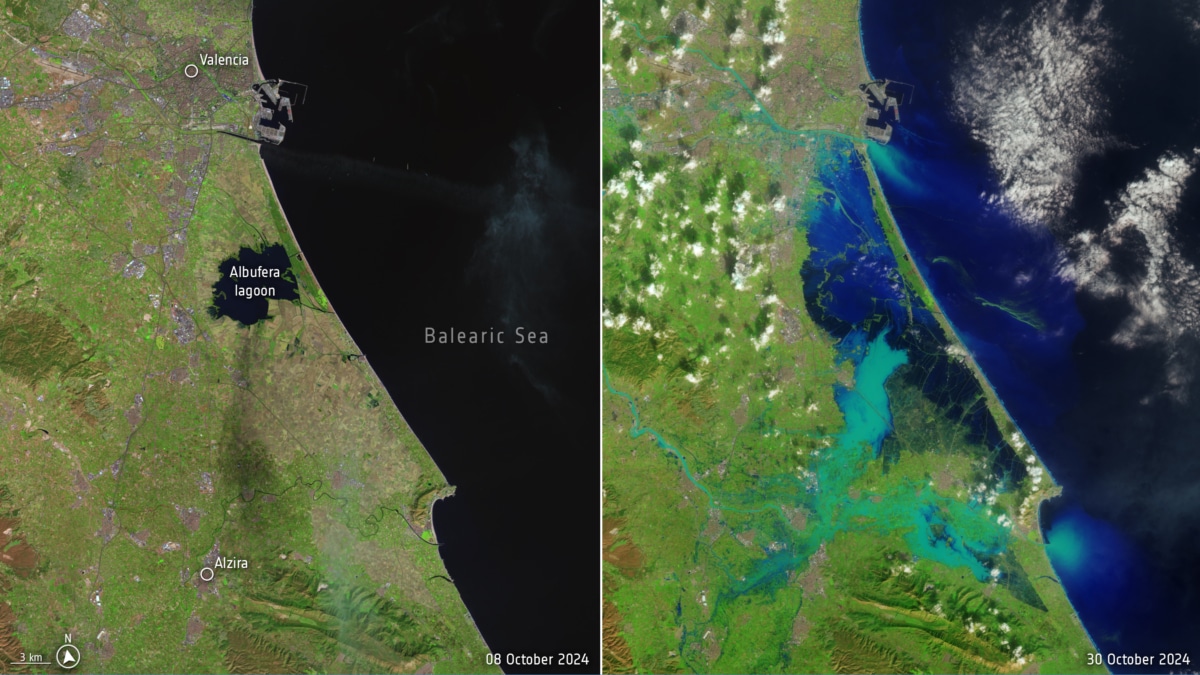 El área de la Albufera de Valencia, antes y después de la DANA.