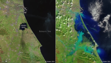 Valencia desde el satélite: el antes y después de la DANA