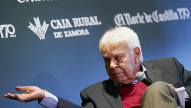 Felipe González sobre la gestión de la DANA: "Nos hemos vuelto mentalmente tuiteros, primero disparamos y luego pensamos"