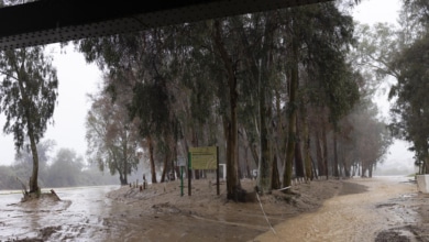 Inundaciones por la DANA en Málaga: riada en Coín y Puerto de la Torre