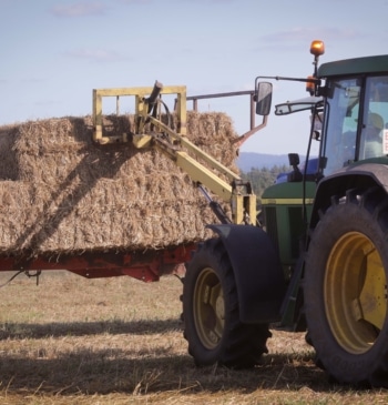 Más de la mitad de los daños asegurados fueron en agricultura