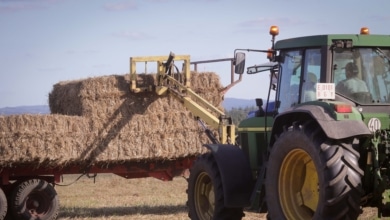 El calvario del campo: más de la mitad de los daños asegurados fueron en agricultura