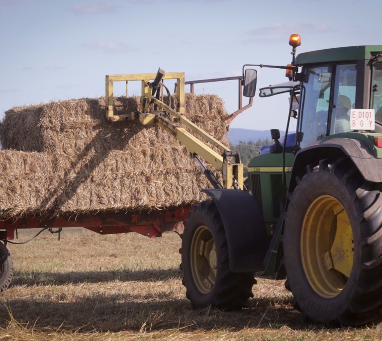 El calvario del campo: más de la mitad de los daños asegurados fueron en agricultura