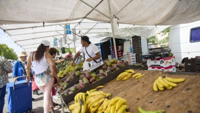 La pelea en la sombra por Mercosur y el portazo del campo: "No podemos cambiar coches eléctricos por nuestra agricultura"