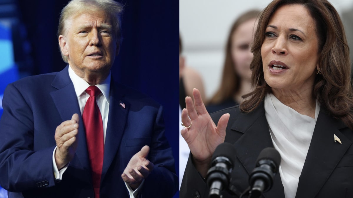 Tecnología, salud y energía: los sectores que saldrán ganando con Kamala Harris o con Donald Trump