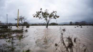 La Aemet avisa de riesgo naranja por la DANA este miércoles en el sur de Valencia y norte de Alicante