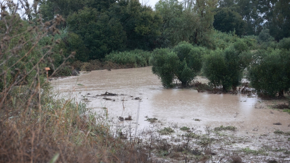 Río Guadaíra a su paso por la provincia de Sevilla.