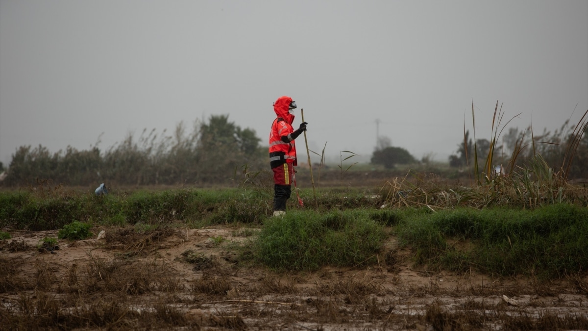 Un bombero trabaja en la Albufera de Valencia.