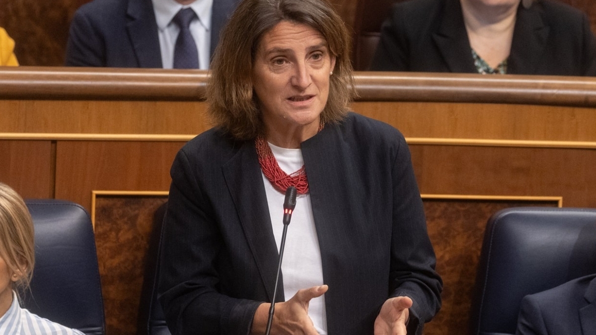 Teresa Ribera, en el Congreso de los Diputados.