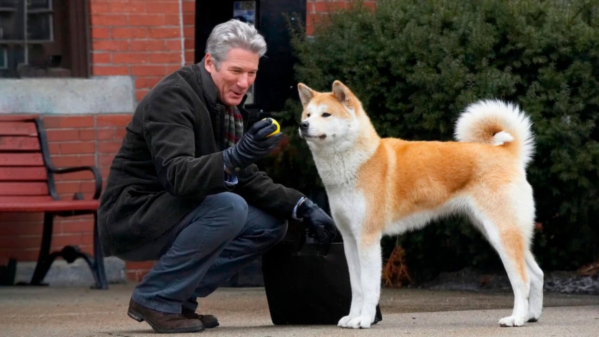 Richard Gere y Hachiko en 'Siempre a tu lado' (2009). ¿Muere el perro?