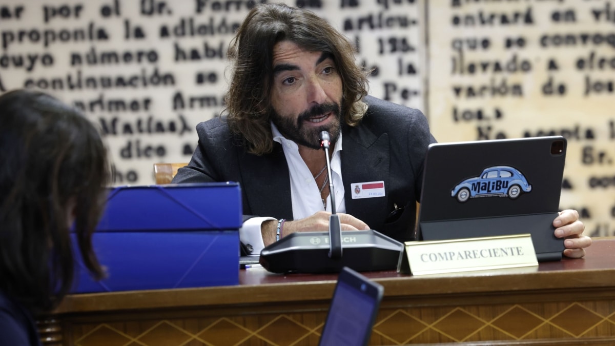 El exconsejero delegado de Globalia, Javier Hidalgo, testifica en la comisión del Senado que investiga el caso Koldo, este viernes.