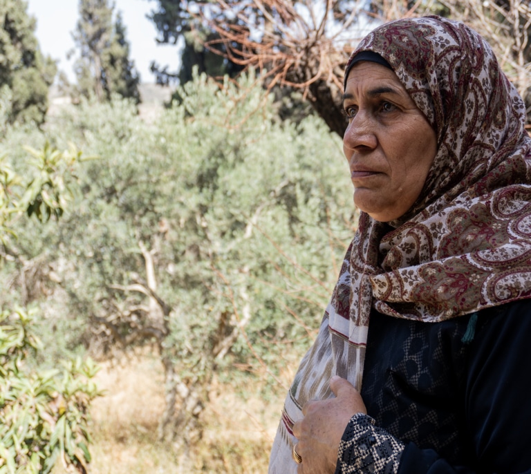 Asesinado por una cosecha de aceitunas: “Los colonos israelíes han impuesto su ley. Nadie les castiga; nadie nos protege”