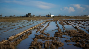 Las catástrofes naturales encarecen más la cesta de la compra de los hogares con ingresos bajos