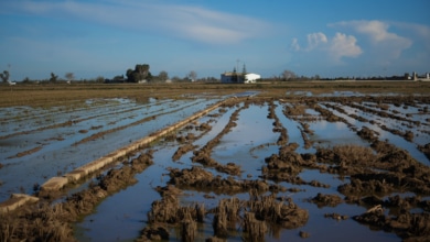 Las catástrofes naturales encarecen más la cesta de la compra de los hogares con ingresos bajos