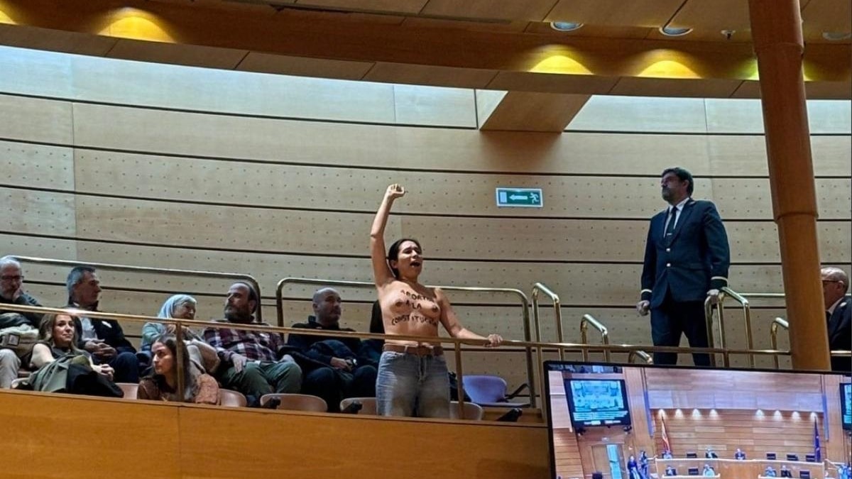 Dos activistas irrumpen en el Senado a grito de "el aborto es sagrado"