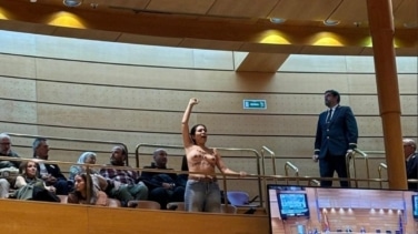 Dos activistas irrumpen en el Senado a grito de "el aborto es sagrado"