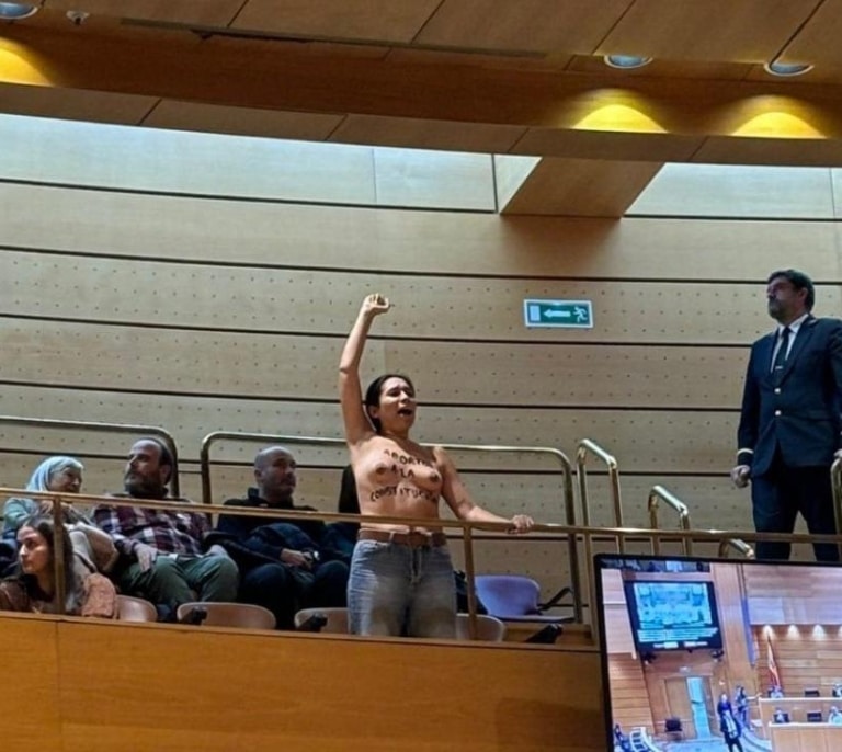 Dos activistas irrumpen en el Senado a grito de "el aborto es sagrado"