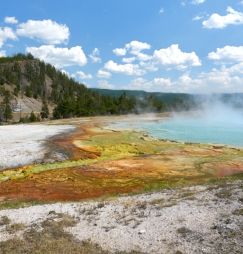 El fenómeno 'Yellowstone': ¿por qué se habla de la serie ahora?