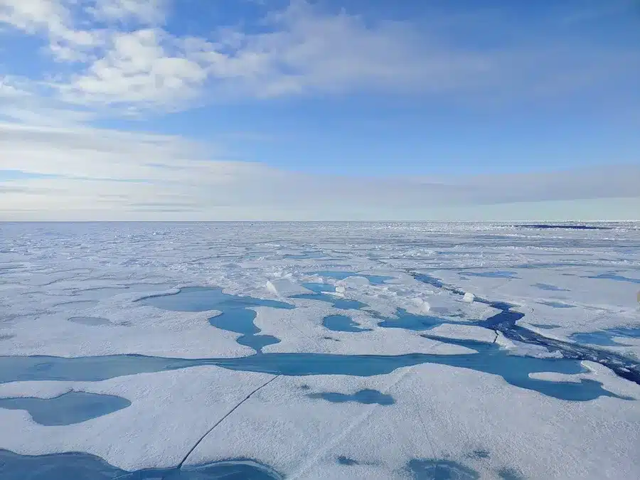 El hielo marino del Ártico se derrite a un ritmo sin precedentes