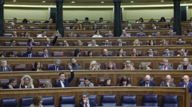 PNV y Junts se alían con el PP para tumbar el gravamen a las energéticas