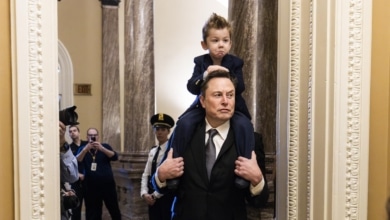 ¿Fin de la luna de miel? El círculo duro de Trump se lanza contra Elon Musk: "Es un maldito lastre"