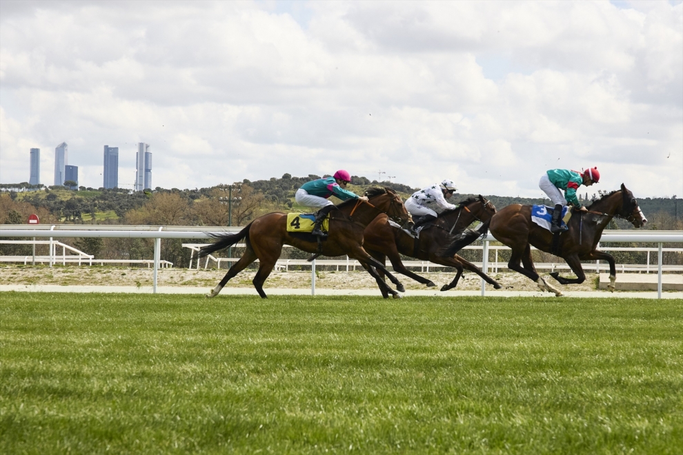 Vista de las Cuatro Torres desde el Hipódromo de La Zarzuela.