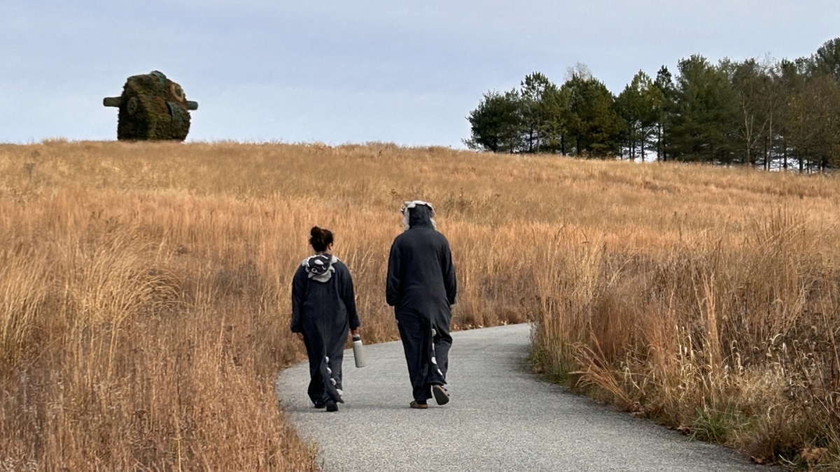 Arte al aire libre y sin reglas: Glenstone, cuando una fortuna billonaria se abre al público