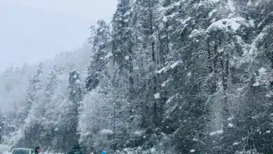 Alerta de Protección civil: el puente de diciembre traerá un episodio de tiempo invernal con una masa de aire polar