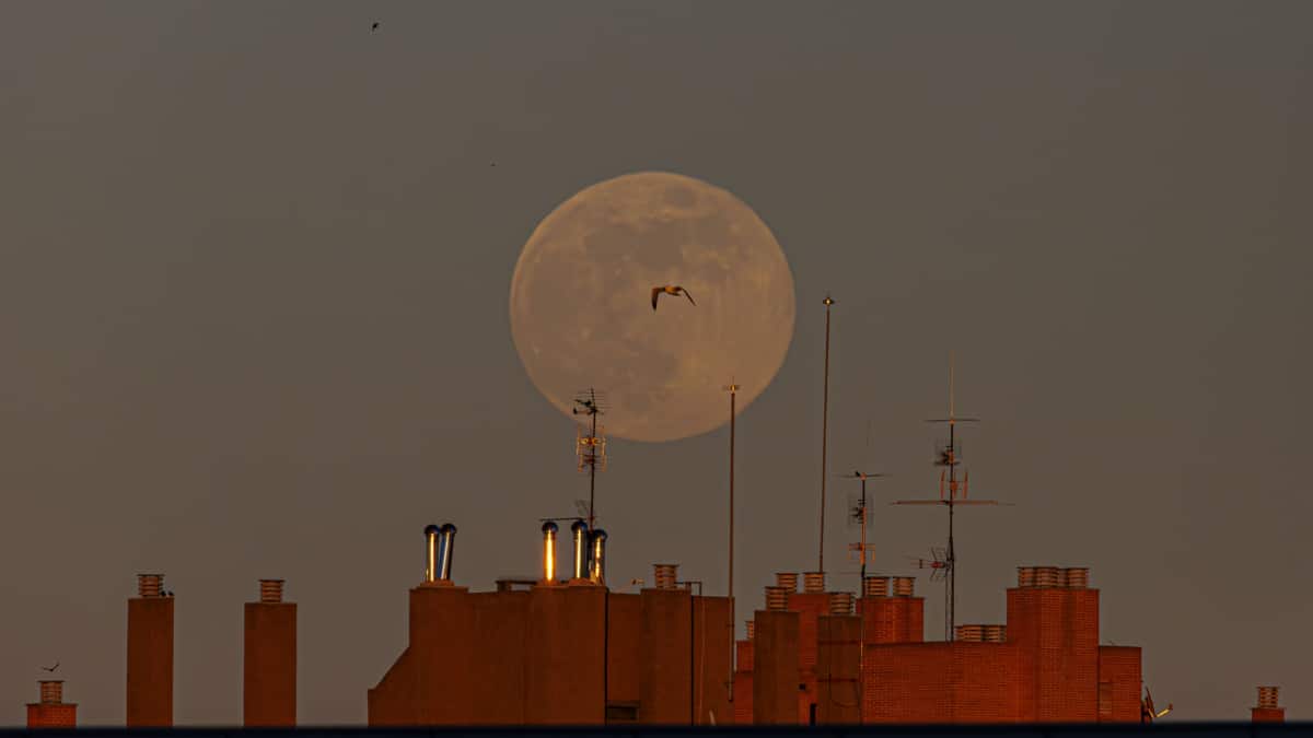 Calendario lunar febrero 2025: ¿influye la fase de la luna para cortarse el pelo?