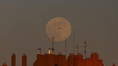 Calendario lunar febrero 2025: ¿influye la fase de la luna para cortarse el pelo?