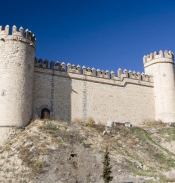 Interior sube el precio del Castillo de Maqueda tras una década intentando [...]