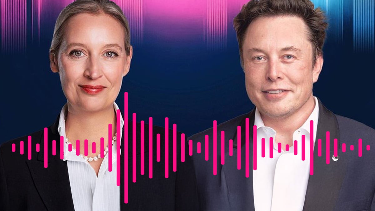 Alice Weidel y Elon Musk