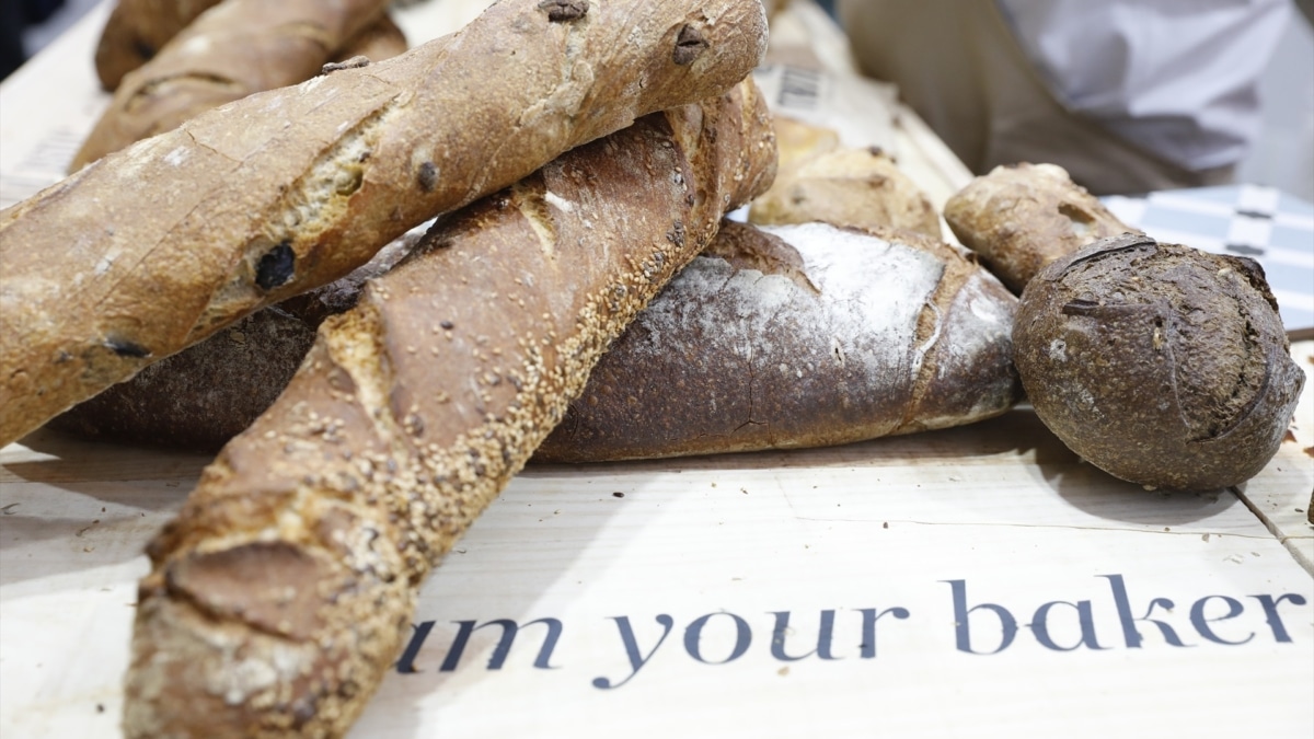 Pan congelado: Una opción saludable y práctica para tu alimentación