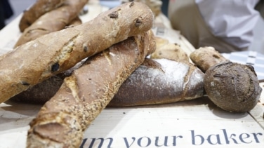 Pan congelado: Una opción saludable y práctica para tu alimentación