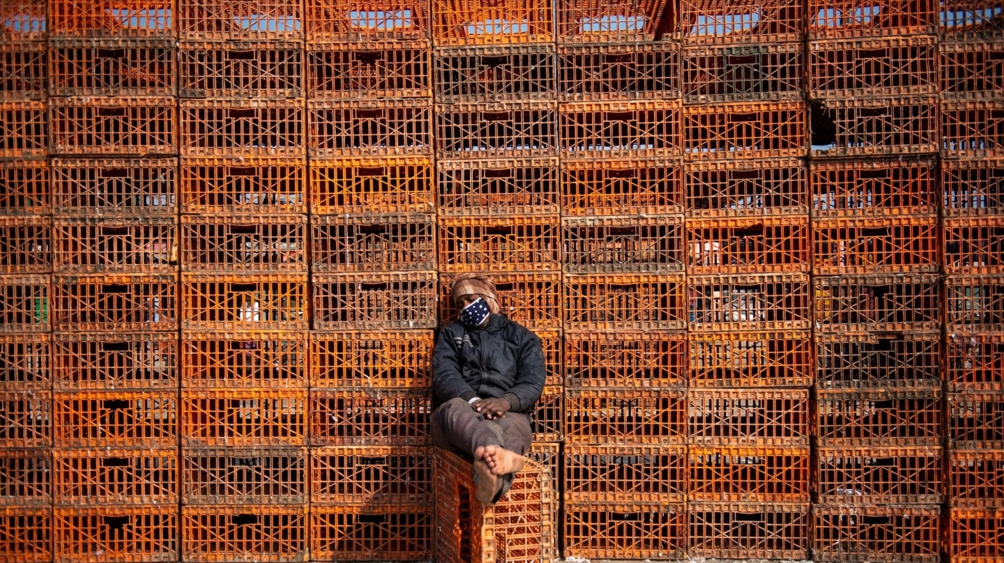 Un trabajador de una granja en la India.