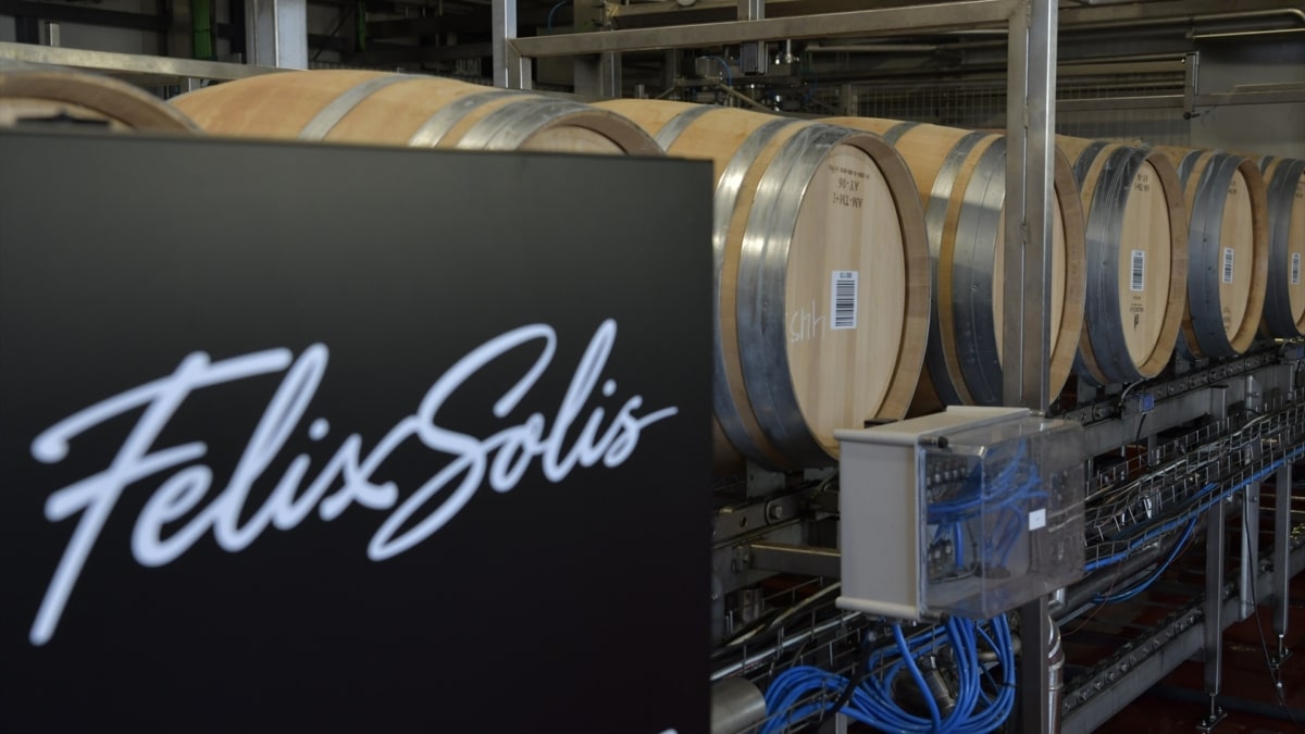 Barriles de vino en el interior de las bodegas Félix Solís.