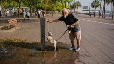 Barcelona, Madrid y Valencia, entre las 10 ciudades europeas en las que más subirá la  mortalidad por el calor