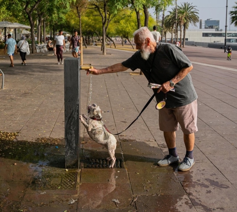 Barcelona, Madrid y Valencia, entre las 10 ciudades europeas en las que más subirá la  mortalidad por el calor